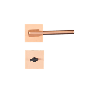 CE -13-